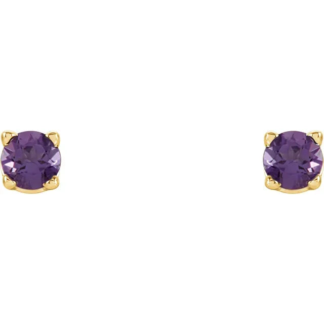 2.5 mm Natural Amethyst Stud Earrings