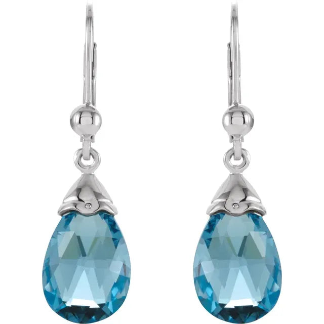 Natural Swiss Blue Topaz Earrings Front Picture