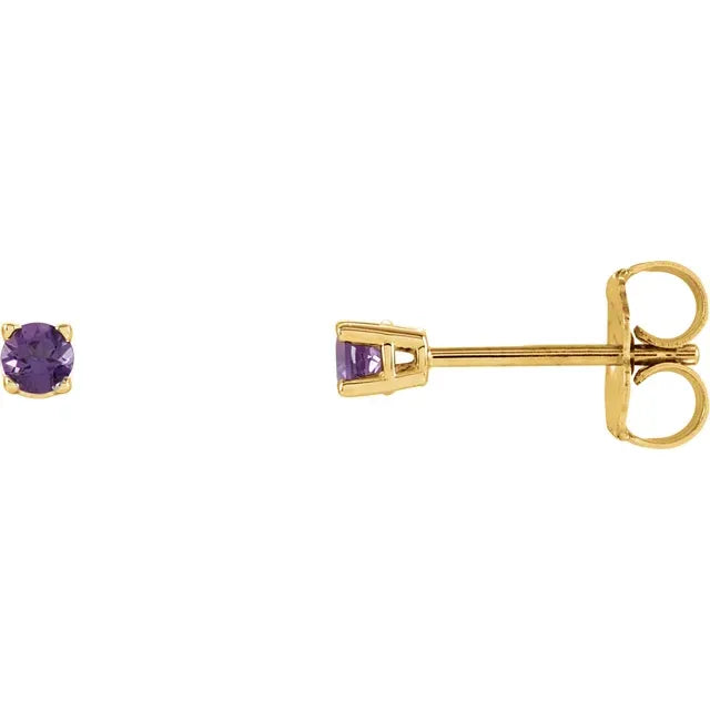 14K Yellow Gold 2.5 mm Natural Amethyst Stud Earrings 