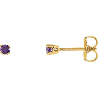 14K Yellow Gold 2.5 mm Natural Amethyst Stud Earrings 
