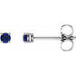14K White Gold Petite Natural Blue Sapphire Stud Earrings – 2.5 MM