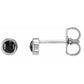 14K White Gold Classic Rose-Cut Black Diamond Stud Earrings