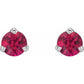 Platinum Stud Earrings for Women Ruby stone picture