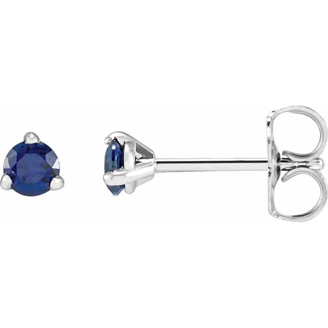 Platinum Stud Earrings for Women blue sapphire