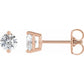 Diamond stud earrings 2 Prongs set 3/8 CTW Stone 14K Rose Gold