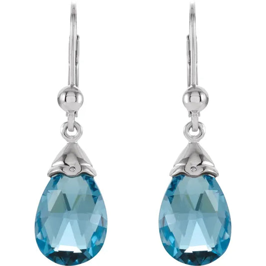 Natural Swiss Blue Topaz Earrings Front Picture