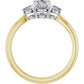 14K Yellow & White Gold three Stone Diamond engagement ring 